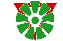 logo_senior